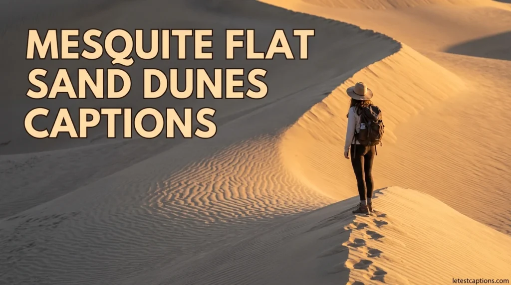 Mesquite Flat Sand Dunes Captions